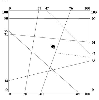 「POJ1066」Treasure Hunt